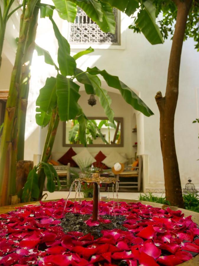 Riad Dar Aman Marrakesh Luaran gambar